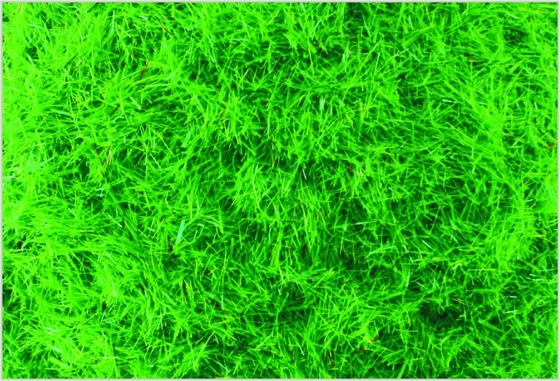 China A-1 2,5 mm personalizada escala modelo comboio Layouts suprimentos Nylon Med.Green grama refeição fornecedor