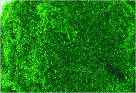 China J011 2mm Custom modelo comboio Layouts suprimentos profundo verde grama de Turf de Nylon fornecedor