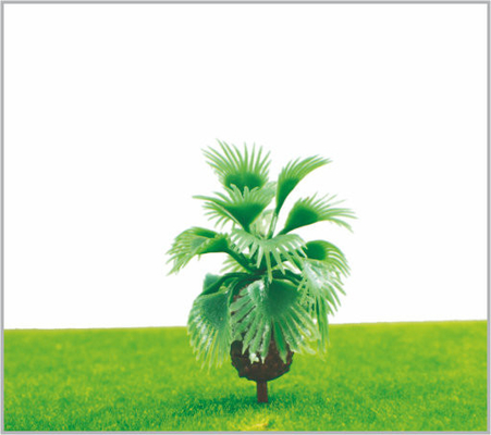 China M015 Miniatura escala modelo árvores verde Avenue plantação Palms árvore 5,5 cm fornecedor